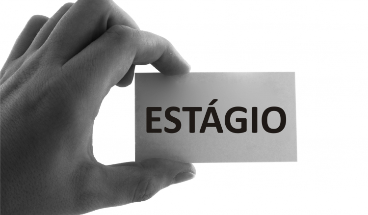 INE admite que estagiários são considerados empregados