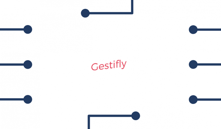 Gestifly. Um Software de gestão financeira para empresas