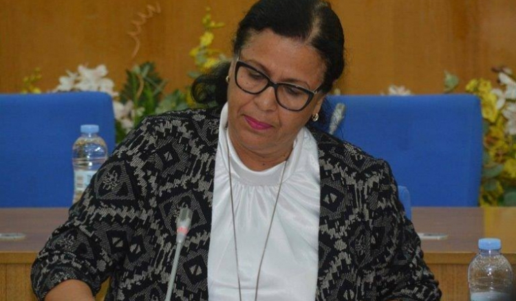 Manuais. Ministra anuncia inquérito para apurar responsabilidades, mas os livros ficam