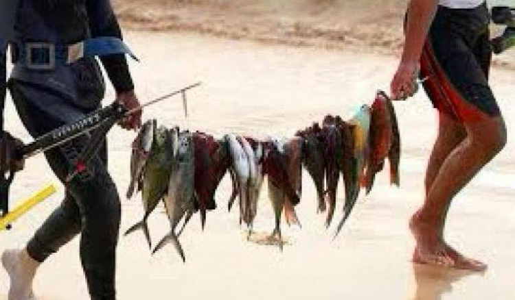 Pescas. Governo reconhece fragilidades e apresenta políticas para o sector