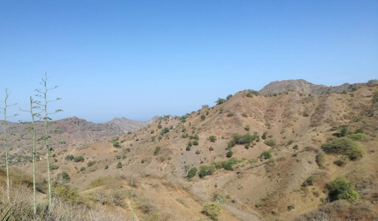 Mau ano agrícola em Santa Cruz. Menino que não chora não mama